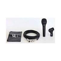 PVI 2 XLR MIC