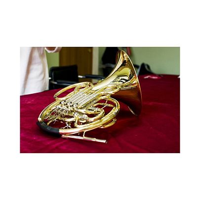 Artist FH-601LA